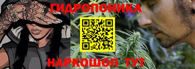 PSILOCYBIN Гусь-Хрустальный