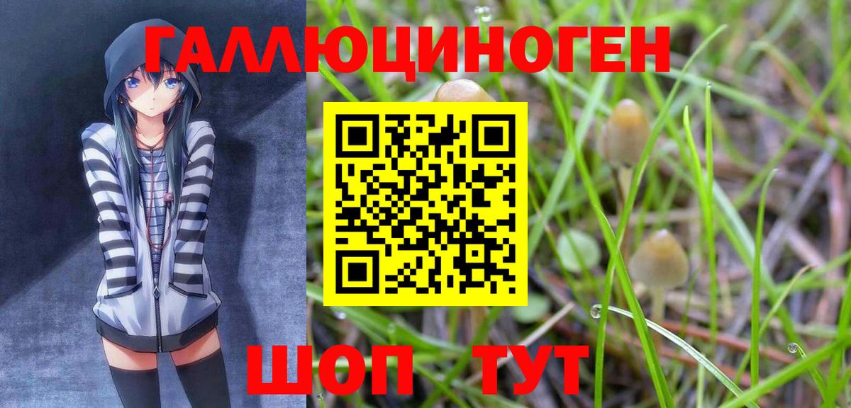 Россия  Галлюциногенные грибы мухоморы  Вход с VPN 